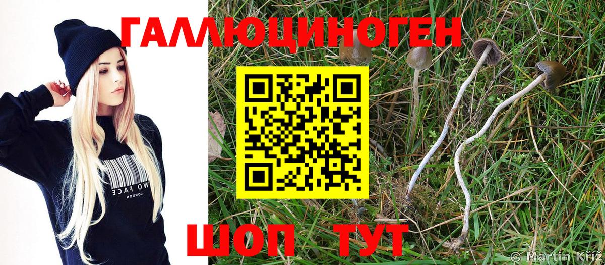 хочу   Псилоцибиновые грибы Cubensis  Вход с VPN  Бутурлиновка  Галлюциногенные грибы MAGIC MUSHROOMS 