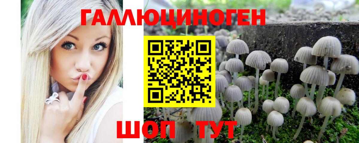 Галлюциногенные грибы Psilocybe Бутурлиновка